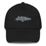 Linesider Series Snook Hat